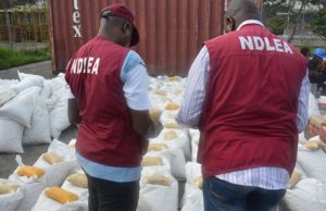 NDLEA operatives nab 72-year-old grandma, ex-international football player, others for trafficking illicit, dangerous drugs