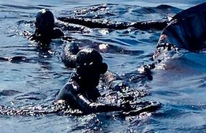 Mauritius: AfDB approves emergency relief to boost clean-up of marine oil spill