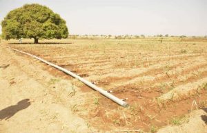 Niger State governor, Sani Bello impressed with progress of work at the multimillion dollar Bobi Grazing Reserve
