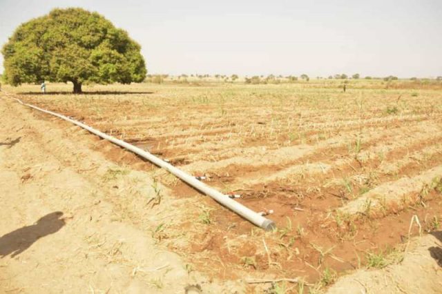 Multimillion dollar Bobi Grazing Reserve in Mariga,Mashegu LGA, Niger state