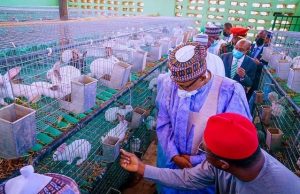 Nigeria unveils first Integrated Farm Estate