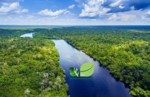 Rising demand for agricultural products adds to competing pressures on tropical forest landscapes
