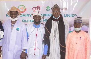 Outspan, Kano dairy union, vaccinate cattle against foot and mouth disease