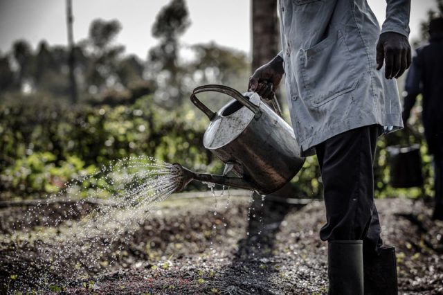Identifying investment priorities and achieving more transparent markets and nutritious agrifood systems are key goals