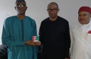 Southeast and Southsouth Network asks Abaribe, Ekweremadu, others to join Peter Obi’s new party