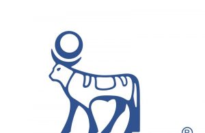 Novo Nordisk, key organizations convene to defeat diabetes in Nigeria