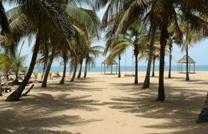 WTTC forecasts Travel & Tourism jobs in Nigeria to double over the next decade, sector’s contribution to GDP projected to reach N7.2 trillion by year end