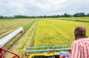 AfDB Board approves $134 million loan for Nigeria to boost local food production and support country’s efforts to mitigate impacts Ukraine war