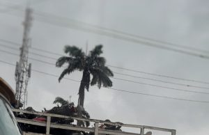 Lagos Taskforce raid defiant ‘okada’ riders hulling in dozens of motorcycles around Lagos metropolis