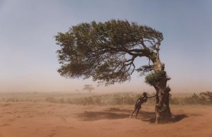 Wildfire, floods don’t need to turn into disasters- United Nations risk report