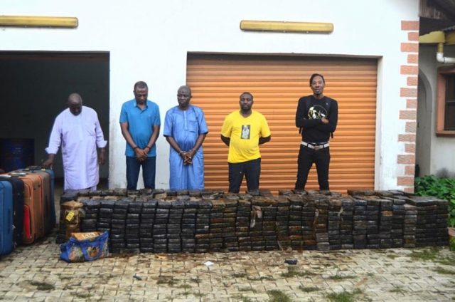Kingpins of the cartel arrested and in NDLEA custody