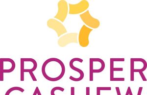 Prosper Cashew convenes industry stakeholders to transform cashew processing in Nigeria
