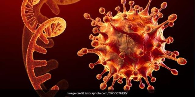 Coronavirus-genome