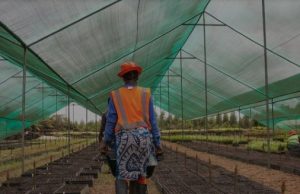 British International Investment new report shows accelerating impacts of the climate emergency on companies in emerging economies