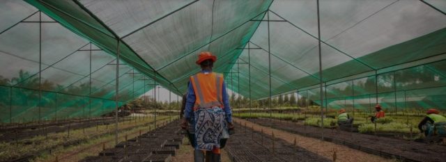 Emerging Climate British Investment