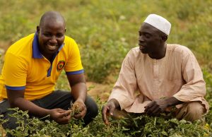 AfDB approves $25 million trade finance facility for FSDH Merchant Bank for local small and medium-sized enterprises