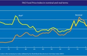 FAO lowers global cereal production forecast for 2022 as Food Price Index drops for the sixth consecutive month