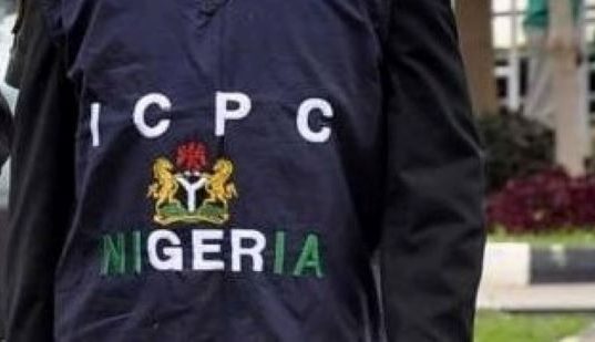 Tinubu orders arrest of Buchi Nwabueze, suspends three Permanent Secretaries over another alleged fake agency