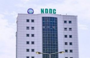 Nigerian Senate confirms Lauretta Onochie as Chairman of NDDC, Chief Samuel Ogbuku to serve as Managing Director