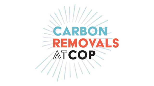 Carbon Removal at COP27