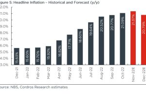 Analysis| Nigeria’s headline inflation appears to be nearing its peak as tracks lower than consensus estimate