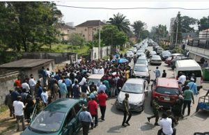EFCC conducts public auction of over 400 cars in Lagos