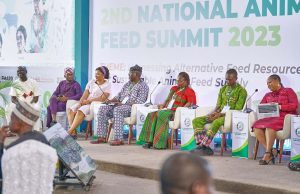 FG proffers roadmap for national alternative feed resources