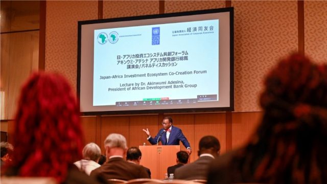 Your investment is safe in Africa, African Development Bank president tells Japanese businesses