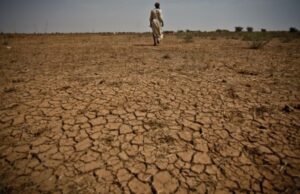 Climate litigation surge reshapes energy policy as Africa seeks stronger legal voice