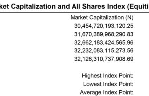 Nigerian Equities in unprecedented rally as benchmark index closed 5.49% higher w/w