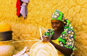 Inclusion for all and IITA research highlights access to formal identity challenges for female agricultural communities and the impact on livelihoods