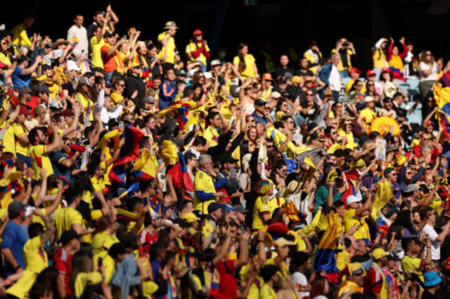 New High for FIFA Women's World Cup