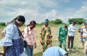 Kwara State Government partners National Agriculture Land Development Authority to scale up food production