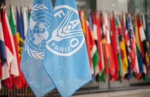 We must address the interconnected challenges of Climate Change and Nutrition, new report suggests