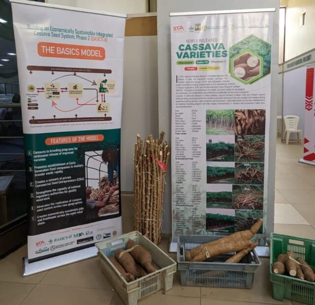The Africa Cassava Conference