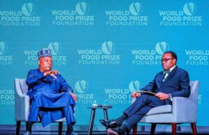 AfDB, partners vote additional $1bn to fund Nigeria’s special agro-industrial processing zones in 24 States