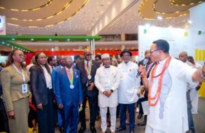 How Nigeria can reduce carbon emissions – SNEPCo MD