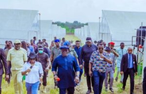 Delta State turns focus on agric value chain to ensure food security and job creation