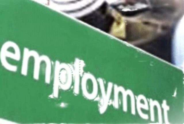 Employment