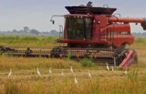British International Investment extends a $100 million finance facility to the Eastern, Southern African Trade and Development Bank to support trade, food security