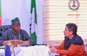 Borno State Government to shift focus to medium and long-term sustainable humanitarian solution