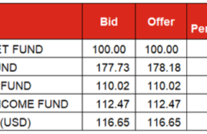 Bonds yield pars by 1bp to 18.9%, Treasury Bills yield falls 260bps to 22.5%