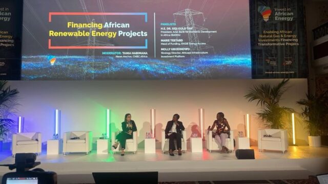 Invest in African Energy (IAE) 2024 Panel