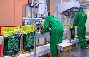Federal Government grants 150-day duty free import window for food commodities