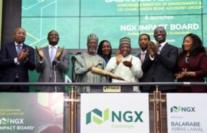 NGX launches new, dedicated platform for listing sustainability instruments