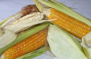 Implementation of import duty and VAT waiver on basic food items