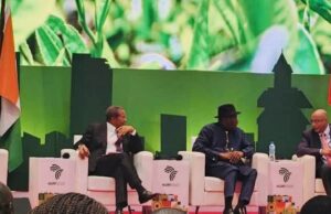 Former President Jonathan tasks African leaders on food security, urges AU to appoint voice for Agric reforms