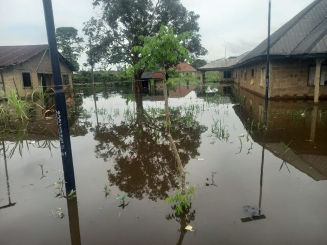 Homes flooded and destroyed in Biseñi, Bayelsa State