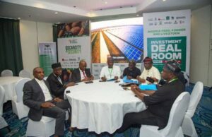 Nigeria’s Feed and Fodder platform attracts $100 million in deals, strengthening sector commercialization