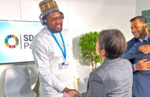 Energy Commission of Nigeria boss joins global energy leaders at COP29 to address financing sustainable energy for developing countries